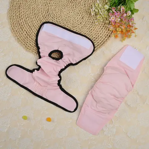 12 best sales बॉक्सर कुत्ता - №11