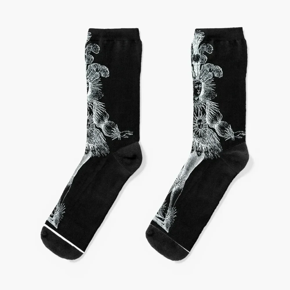 Ballet de la nuit (Louis XIV, King of France) 1653 Socks winter gift Socks Women Men's