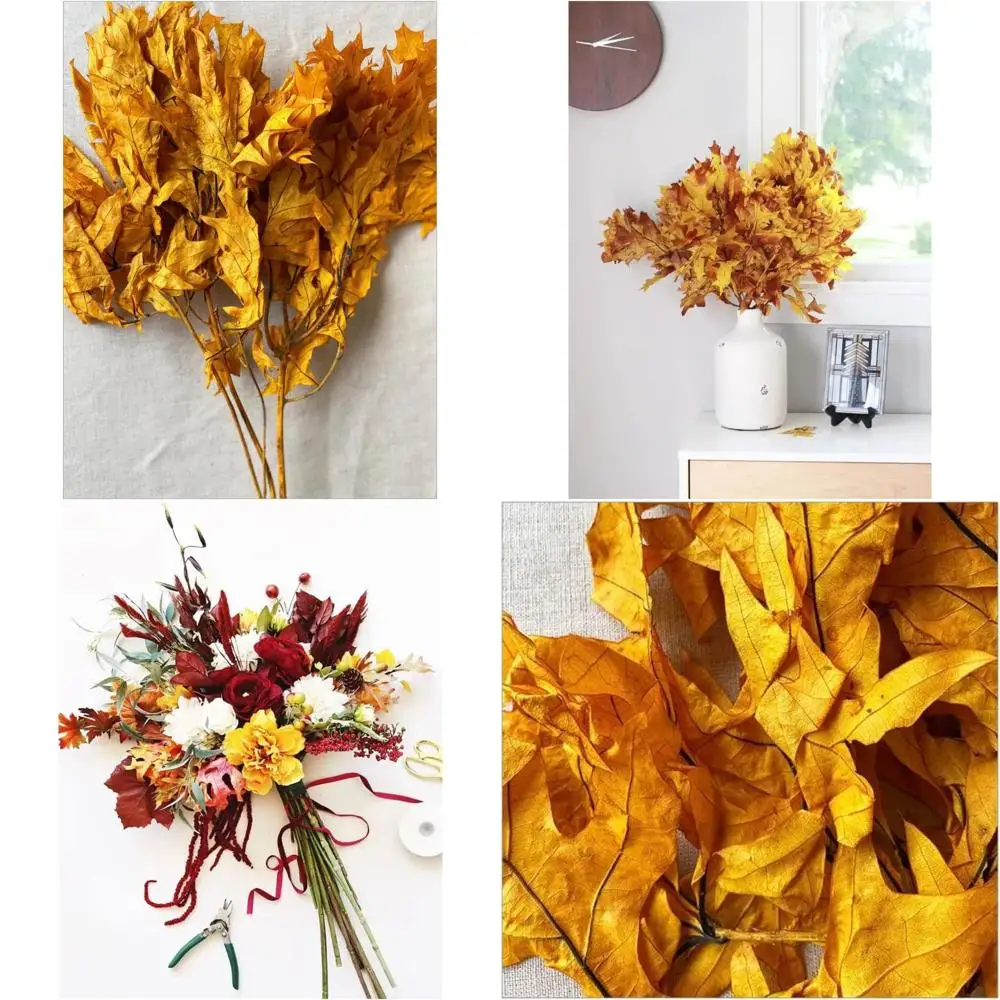 

Long-Lasting Autumn Oak Leaves for Crafting and Home Decoration