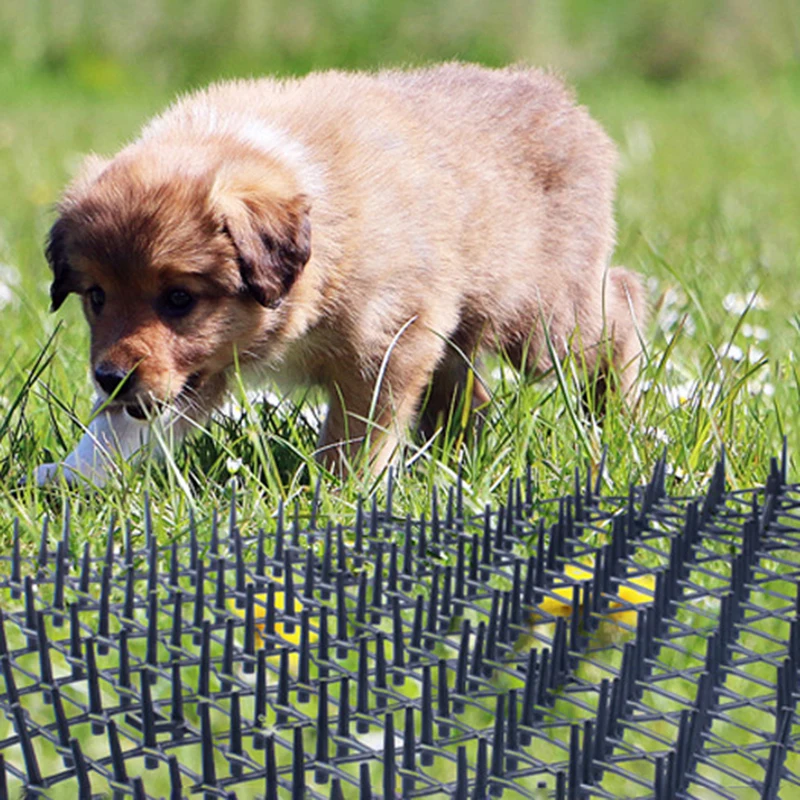 200/400cm Garden Anti-cat  Dog Net Repellent Mat Safe Plastic Spike Thorn Deterrent Green Plant Protection Supply Pet Products