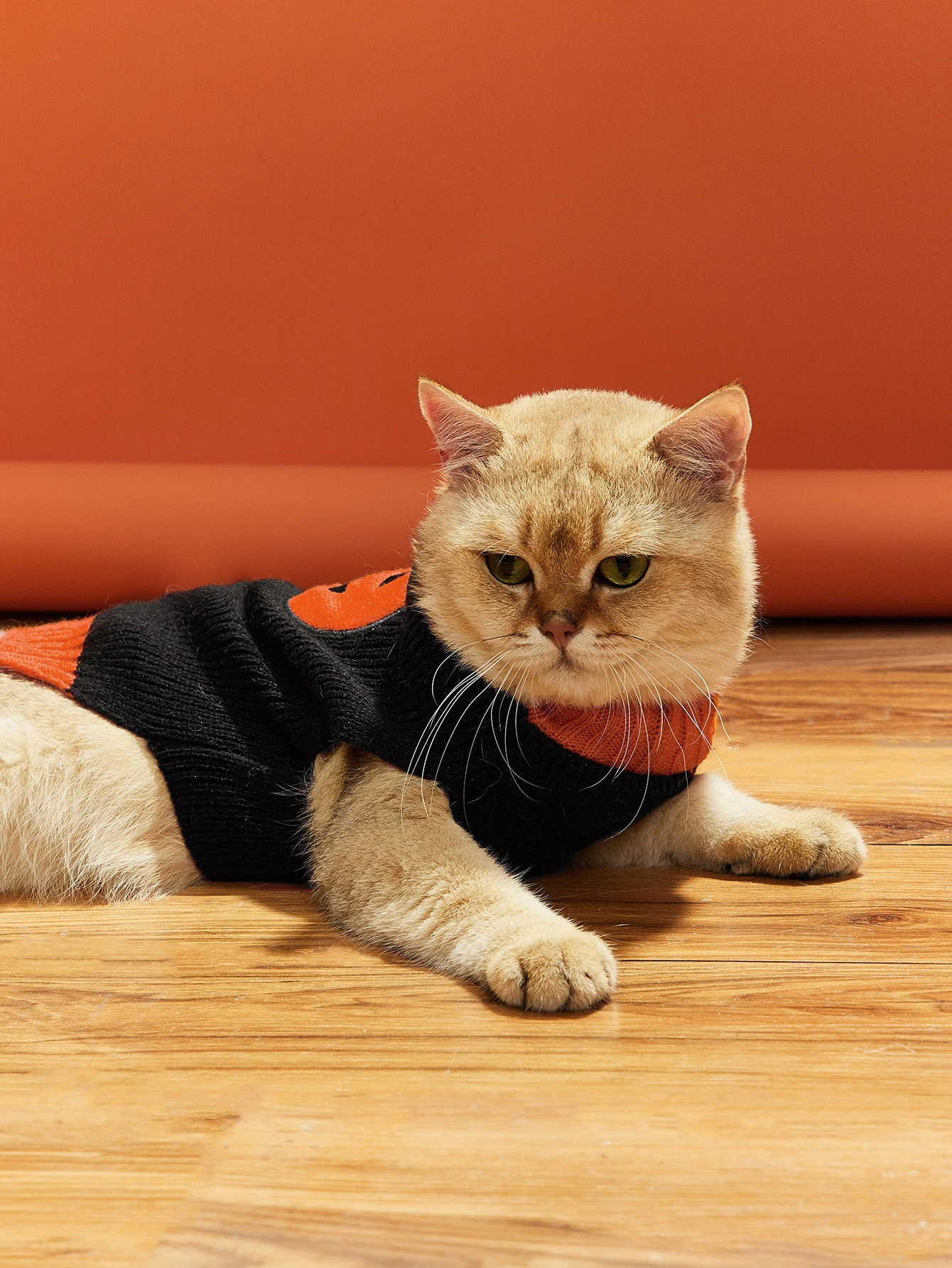 Pet Clothes The Halloween Pumpkin Cat Dog Sweater, Dog Knitwear, Dog Apparel, Pet Sweatshirt