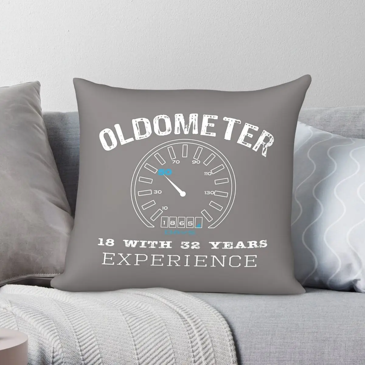 Oldometer Experience Pillowcase Polyester Linen Velvet Printed Zip Decorative Home Cushion Cover 45x45