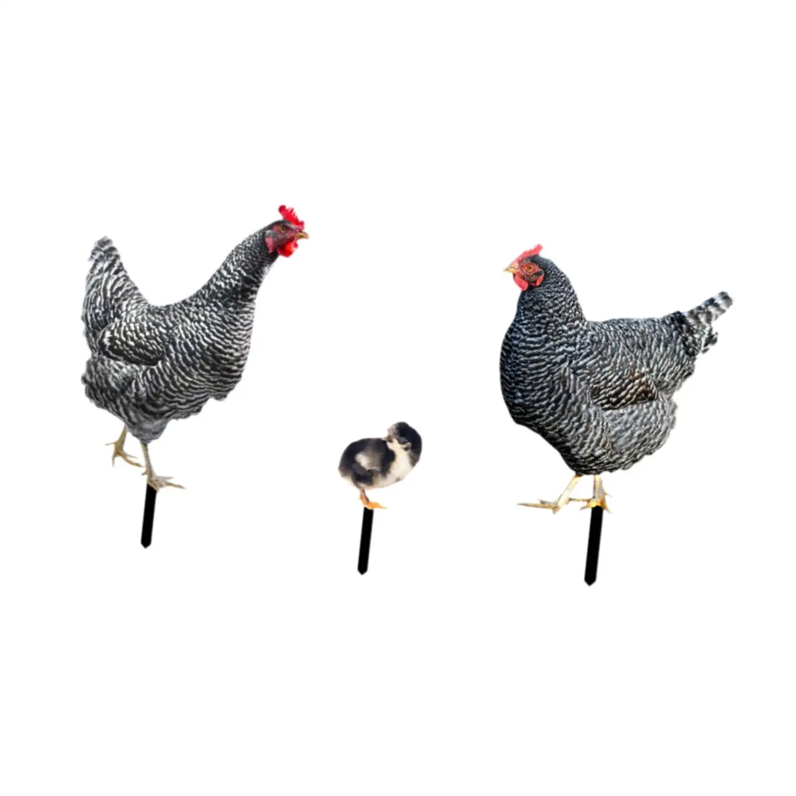 3Pcs Chicken Statues Garden Stakes Yard Art Lawn Sign, Animal Sculptures,Chicken Figurines Ground Insert for Outdoor, Patio