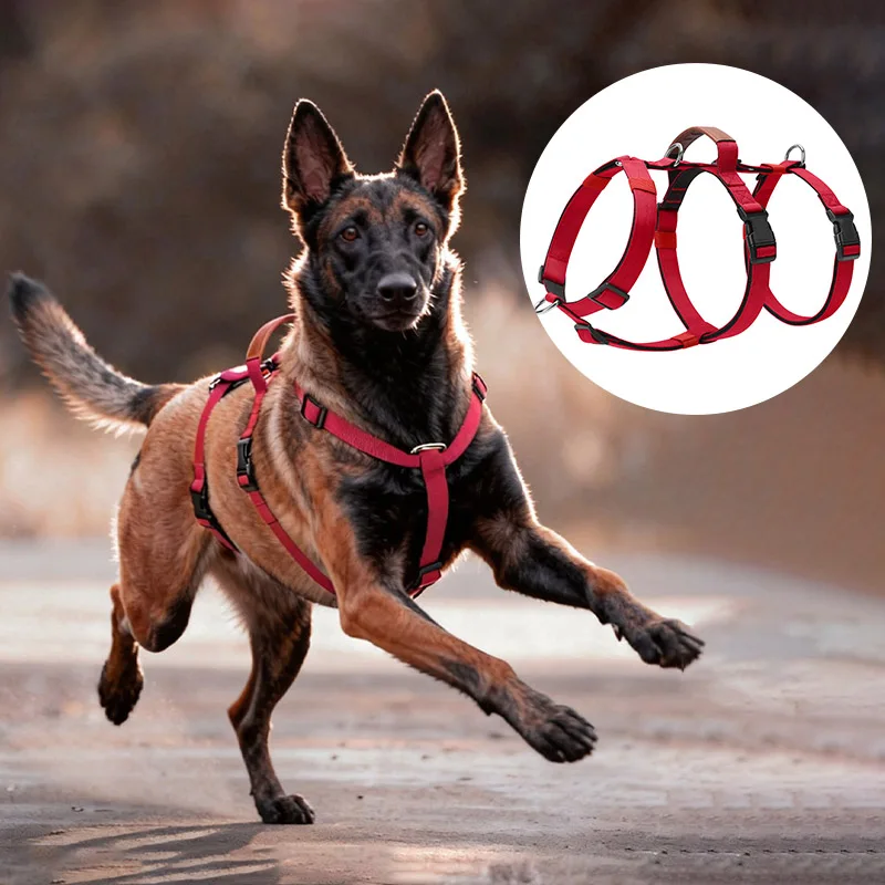 

Нейлоновая шлейка для собак с защитой от побега и ручкой, регулируемая, без натяжения, для средних и крупных пород, для золотистых ретриверов, хаски, зоотовары