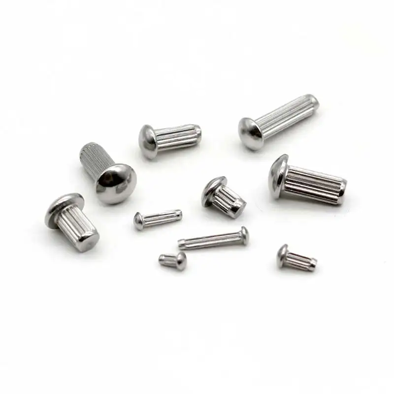 250Pcs Solid Rivets Knurled Shanks M2/2.5/3/4/5 Round Head Stainless Steel Rivets Fasteners Assortment Kit For Label Name Plate