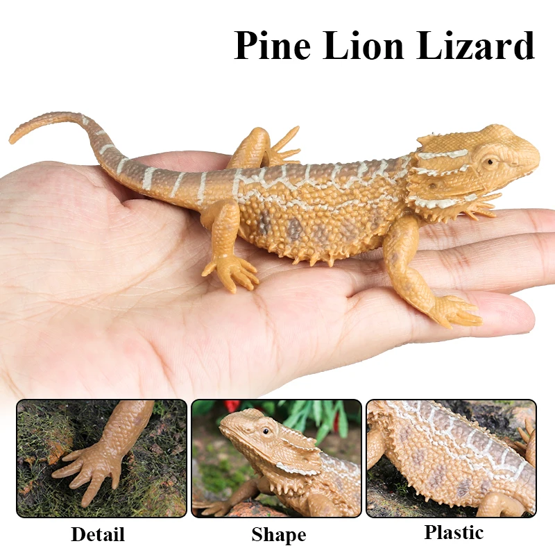 Oenux Reptile Animals Wild Chameleon Lizard Lguana Thorny Devil