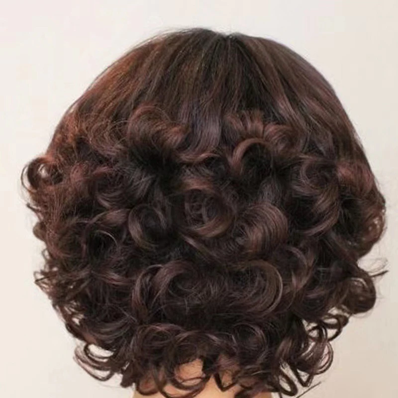 วิกผมเต็มศีรษะสำหรับผู้หญิงวัยผู้ใหญ่ ผมมนุษย์แท้แบบลอน สำหรับงานเทศกาล งานปาร์ตี้ งานแฟนซี หรือสวมใส่ในชีวิตประจำวัน ทำจากไหมทนความร้อนสูง สีน้ำตาล ใช้ตกแต่งทรงผม