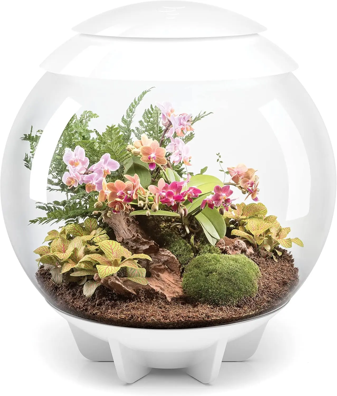 AIR 60 LED Terrarium 16 Gallon White (46147) 10 Times Stronger Than Glass, 50% Lighter and Has A 93% Transparency Rating