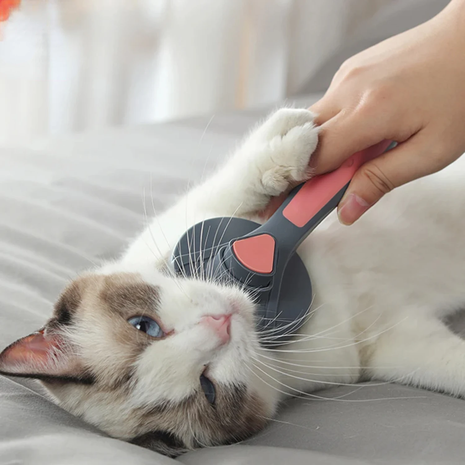 Cat Comb Dog Hair Remover Brush Pet Grooming Slicker Needle Comb Removes Tangled Self Cleaning Pet Supplies Accessories Puppycat