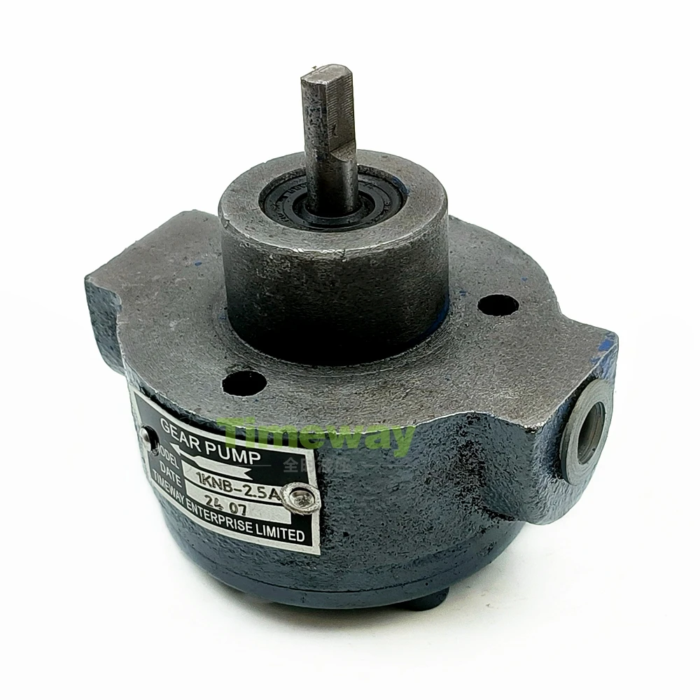 1KNB Hydraulic Reversible Cycloidal Bidirectional Gear Pump 1KNB-2.5A Gear Oil Pump