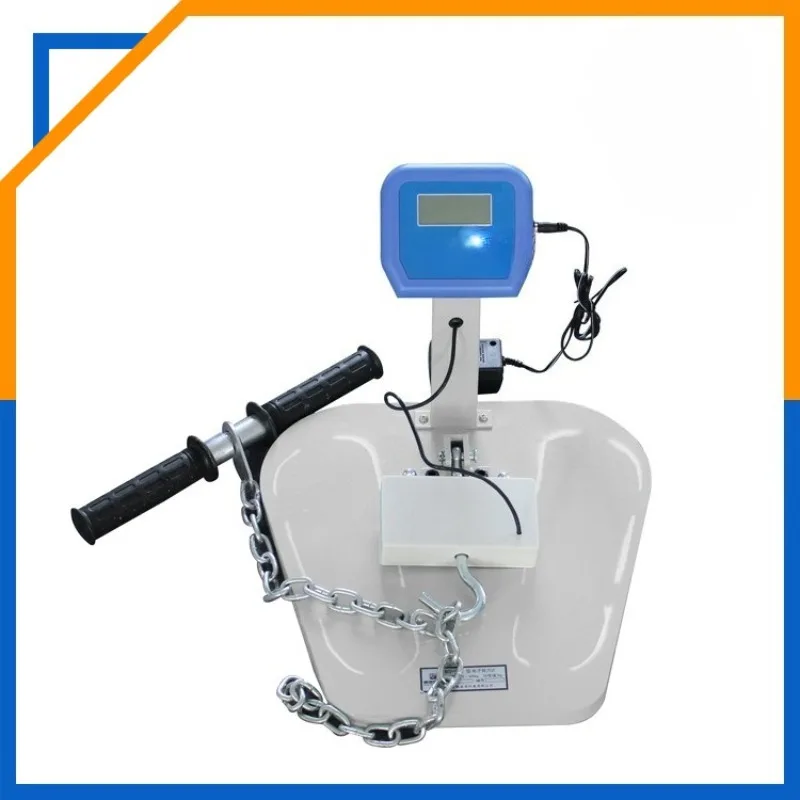 Electronic Display Back Force Meter Strength Tester Rehabilitation Function Evaluator Physical Fitness Test Equipment