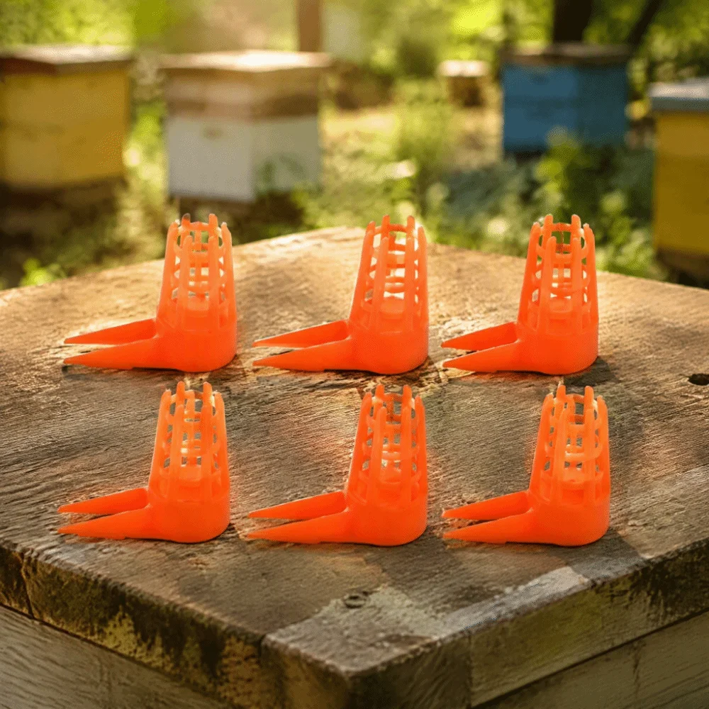 20pcs Plastic Queen Bee Cages Small Size Lightweight Plastic Bee Cage Uneven Grid Design Ventilated Beekeeping Tool Apiary