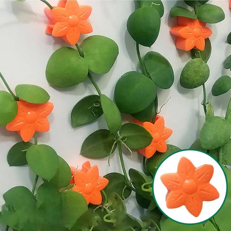 

Plant Climbing Wall Fixture Clips 100X Plant Fixers With 100 Adhesive Strips Flower Shape Plant Vine Traction For Indoor Outdoor