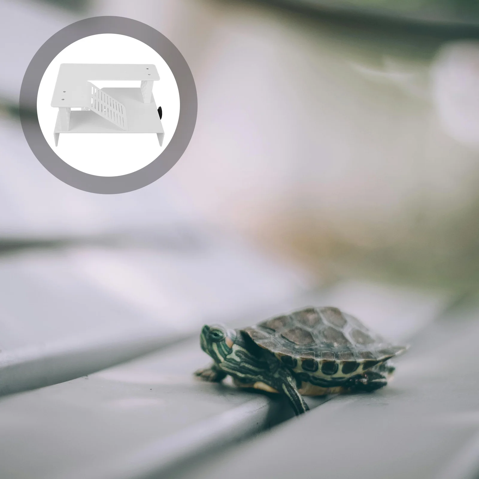 

Acrylic Tortoise Climbing Basking Platform Double Layer Turtle Terrace Stable Turtle Tank Landscaping Decor Reptile Resting