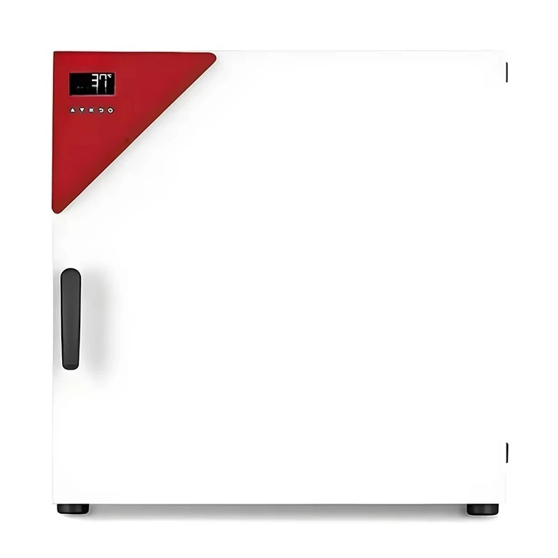 Model BD 115 | Standard-Incubators with Gravity Convection