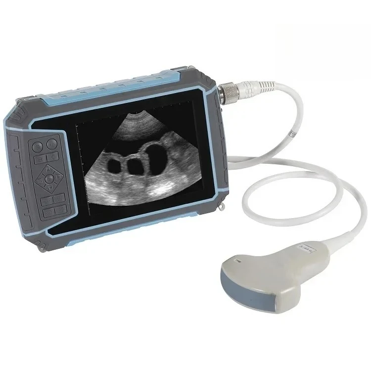medical Wholesale 5.7 inch high resolution display handheld veterinary  scanner portable veterinary ultras