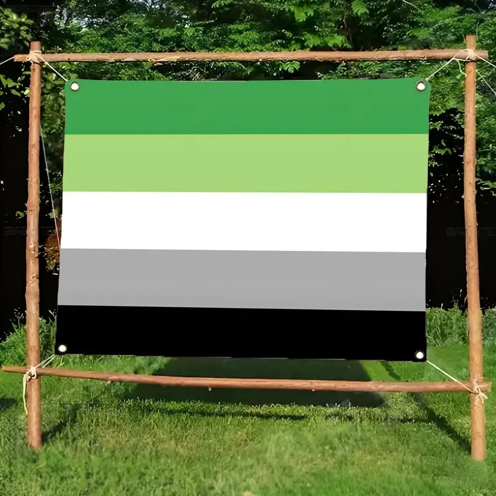 identity pendant charm Aromantic Pride Flags Daily four ring borderless design indoor outdoor decor easy hang install