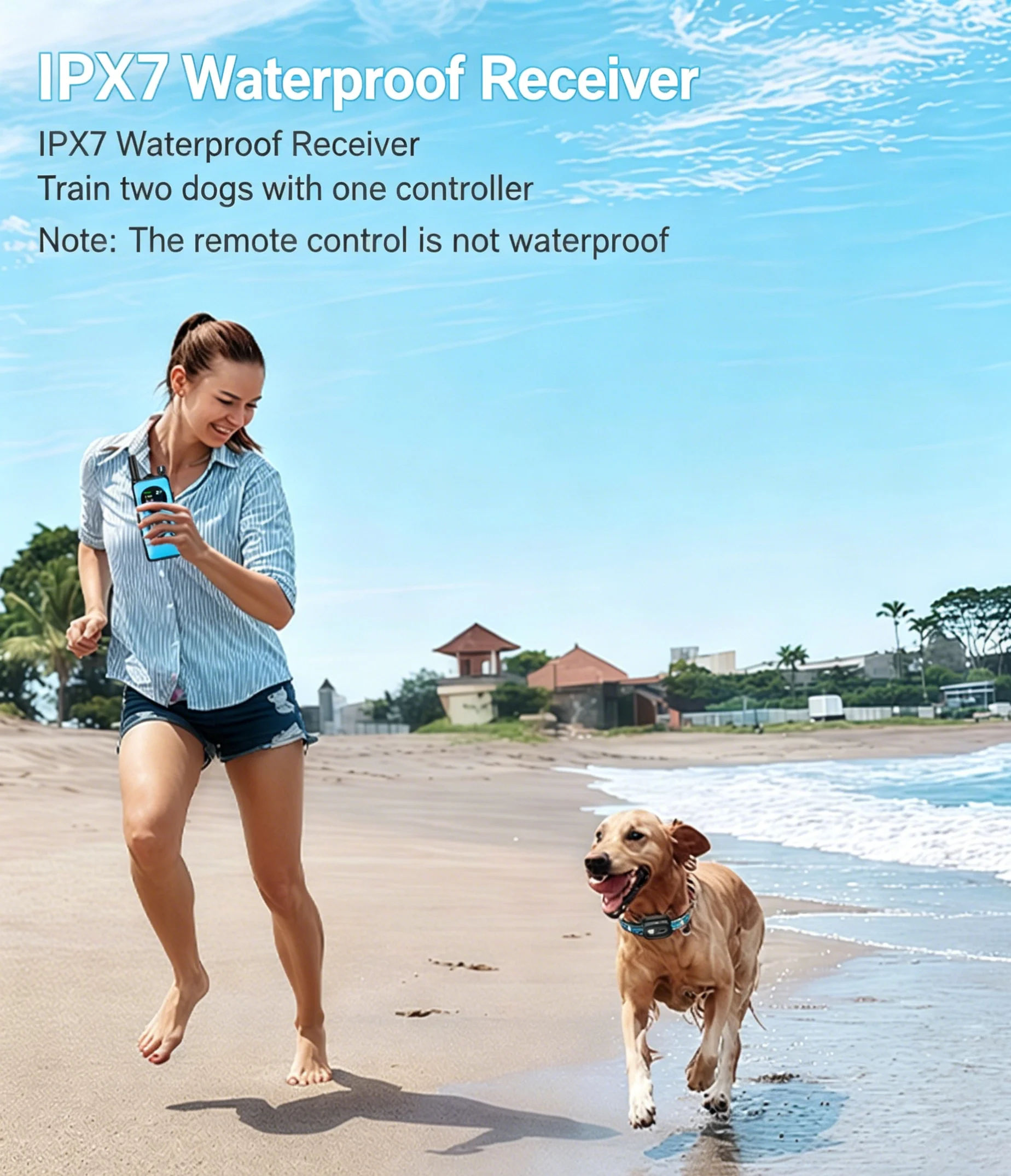 1000M遠隔操作犬用トレーニングカラー 2頭用アジリティシ - Dog Training Collar Remote 1000M Beep のレビューと価格