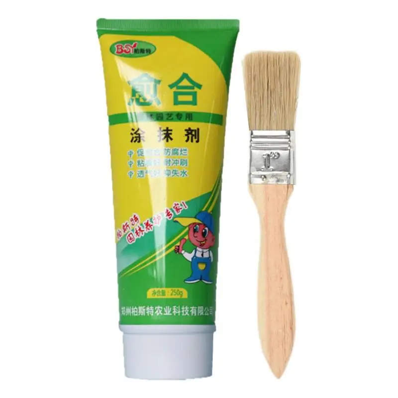 

Pruning Sealer 250g Pruning Compound Sealer With Brush Bonsai Wound Healing Agent Plant Pruning Heal Paste Tree Grafting Wound