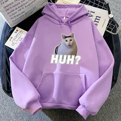 Meme Cats-Sudadera con capucha para niña y niño, suéter de manga larga con estampado gráfico de dibujos animados, ropa informal de lana suave para primavera