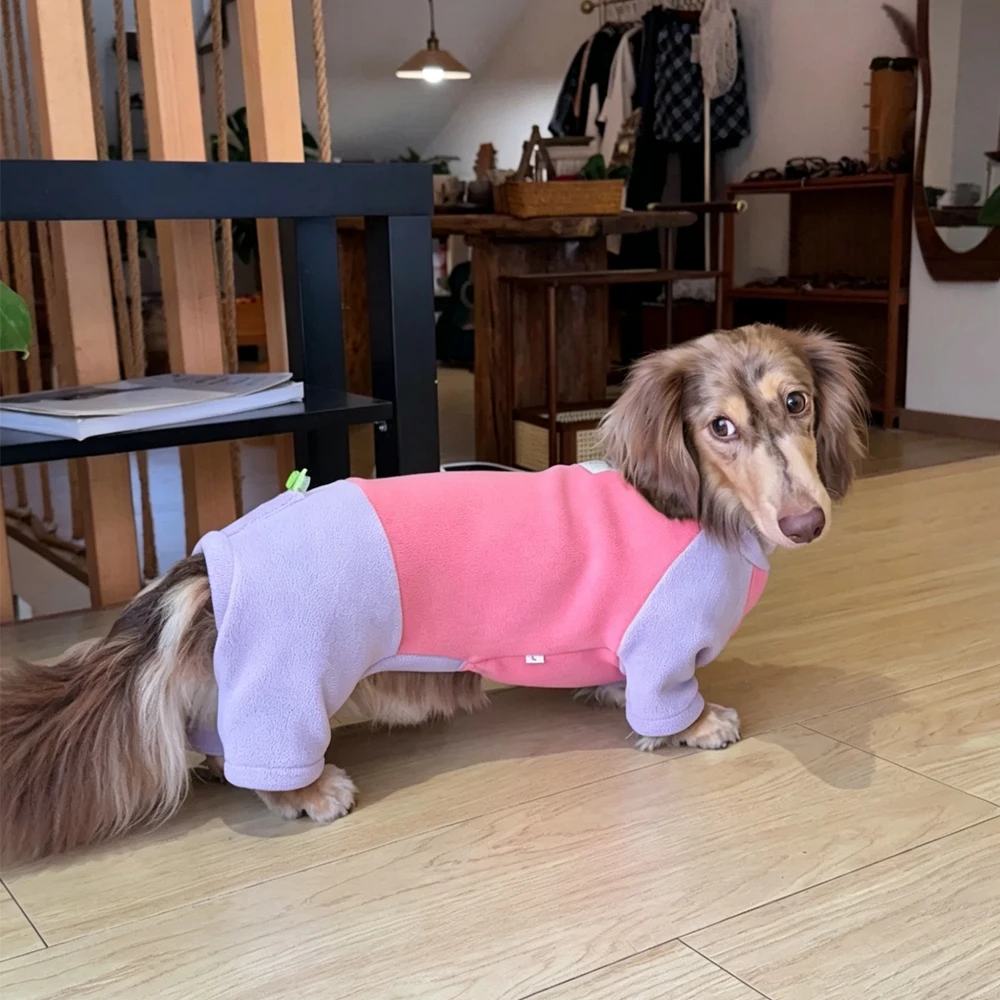 Sudadera abrigo invierno para perro dachshund salchicha cuello alto - imagen 2