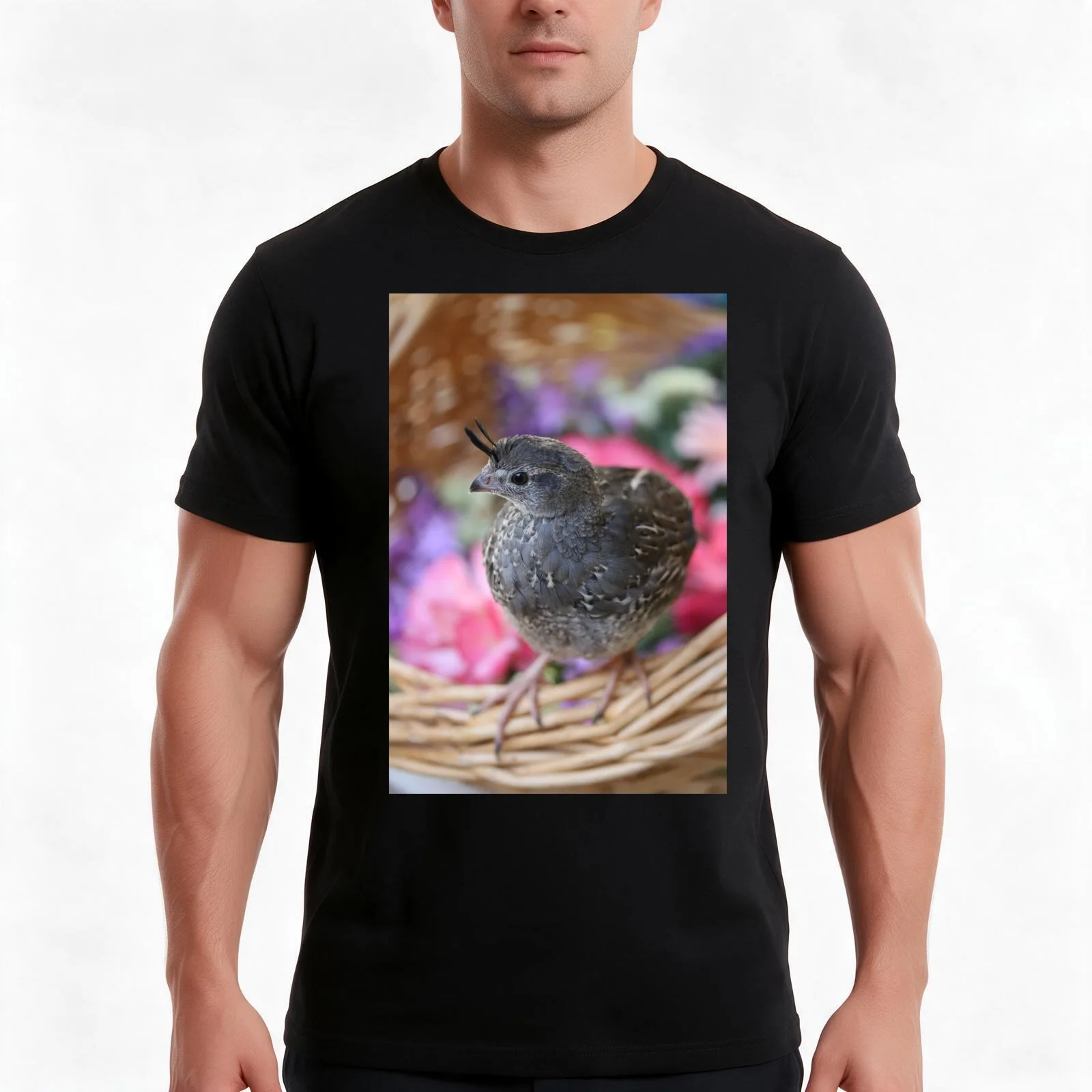 Pezi the Quail, Spring Basket T-Shirt, Summer Casual Cotton Tee, Oversized Streetwear Tops, Vintage Graphic Print, 100% Cotton