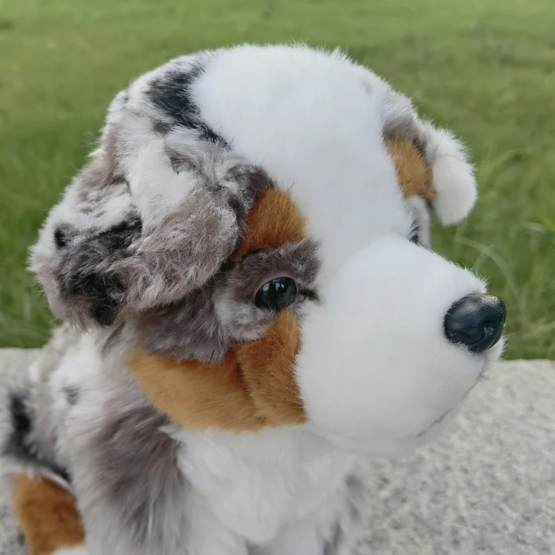 Australian Shepherd Dog High Fidelity Cute Plushie Dogs Plush Toys Lifelike Animals Simulation Stuffed Doll Toy Gifts For Kids