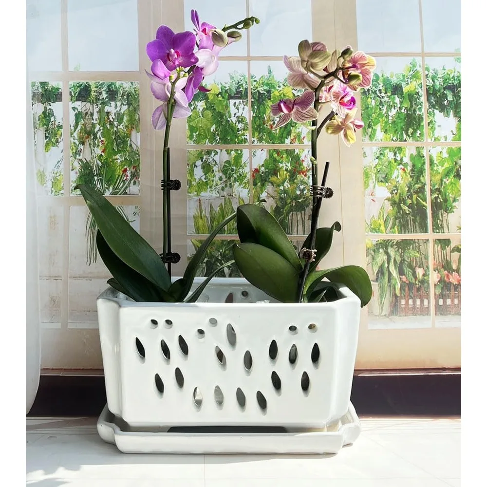 

10inch Rectangle Ceramic Orchid pots with Holes with Saucer