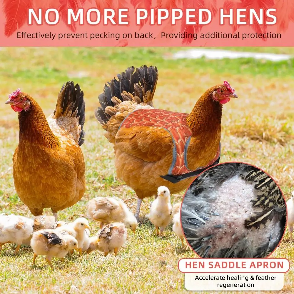 Breathable Chicken Saddles for Hens Feathers Regrow with Adjustable Strap Back Protector Lightweight Waterproof