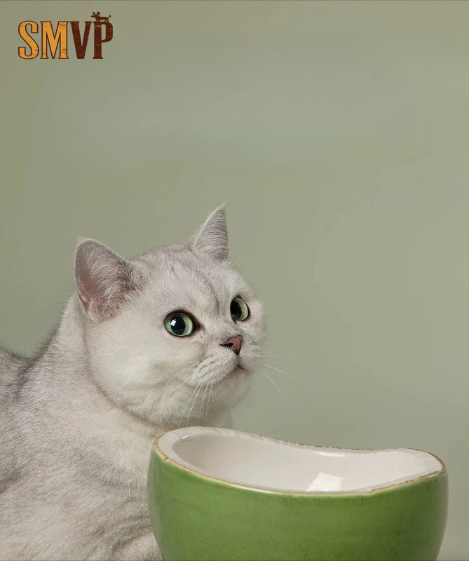 

Original Design Creative Cute Half Coconut Shape Protection Cervical Spine Pet Rice Bowl Rice Bowl Water Bowl Pet Products