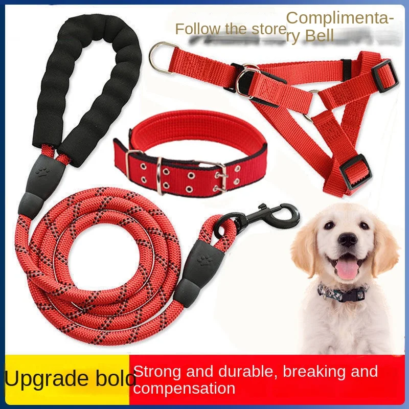 

Dog Hand Holding Rope Dog Leash Dog Collar Walking Dog Teddy/Golden Retriever Pet Large Small Dogs Dog Chain