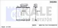 

350265 for radiator engine TGA/TGS/TGS/TGS/TGS/ (MT)