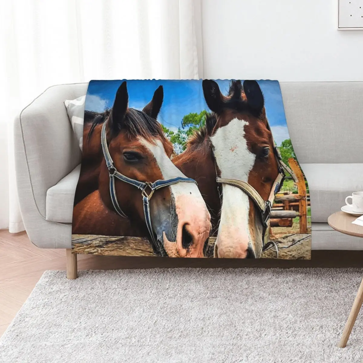 

Clydesdales Posing Throw Blanket for winter Cute Plaid blankets and throws Luxury Thicken Blankets