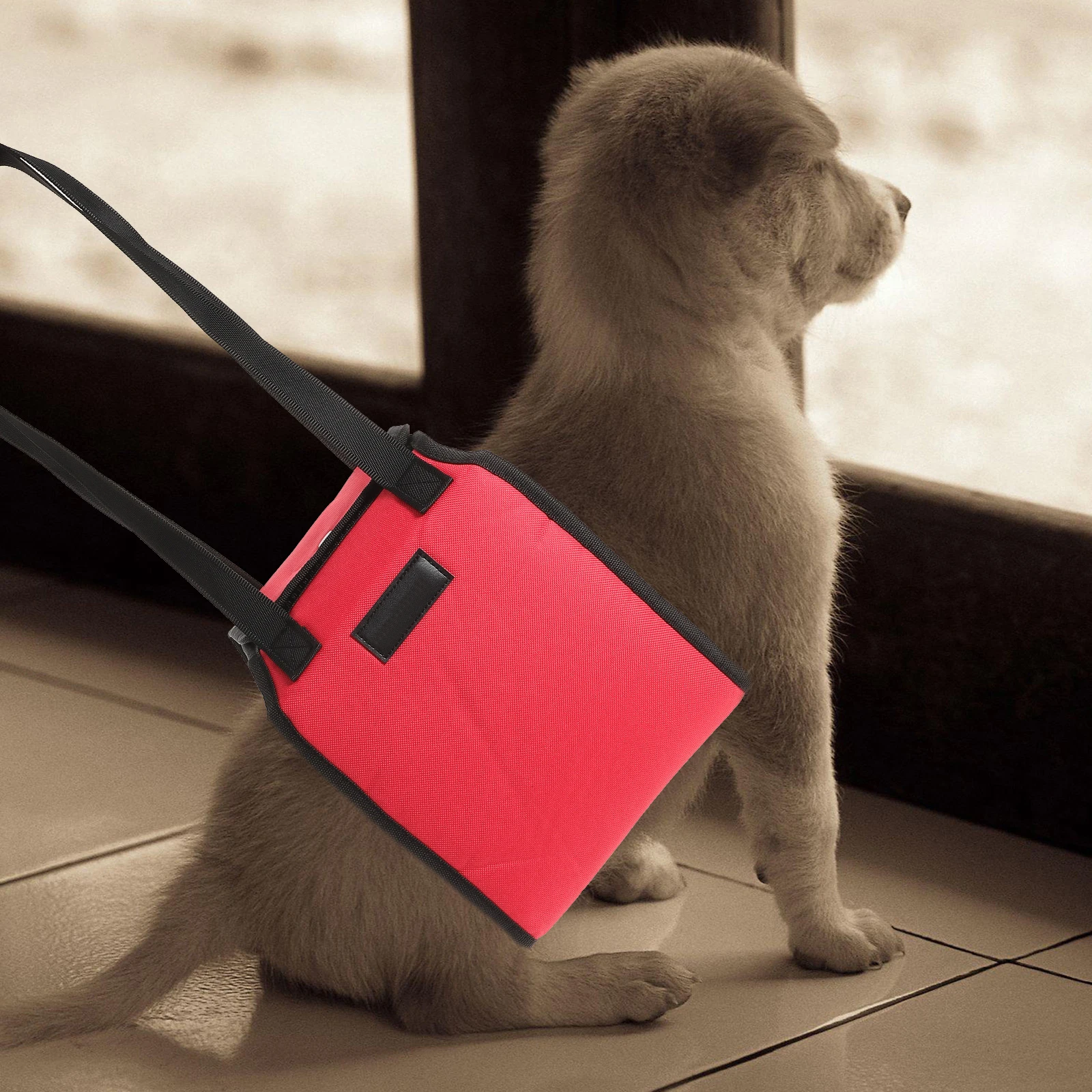 

Pet Auxiliary Belt Assist Sling Dog Rehabilitation Harness Lift Support Suspenders