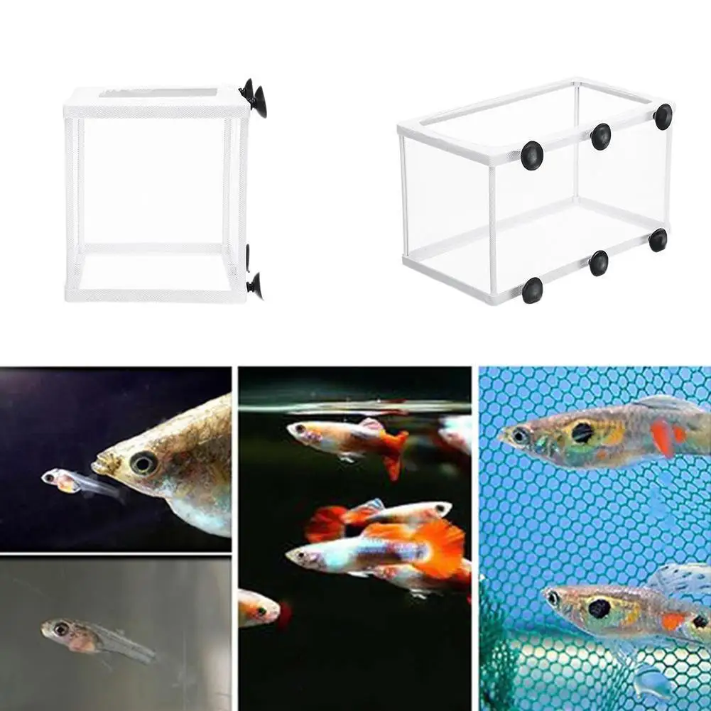 Aquarium Isolation Box Fish Hatchery Net Fish Breeding Isolation Suction Cup Fixed Box Accessory Fish Care Supplies