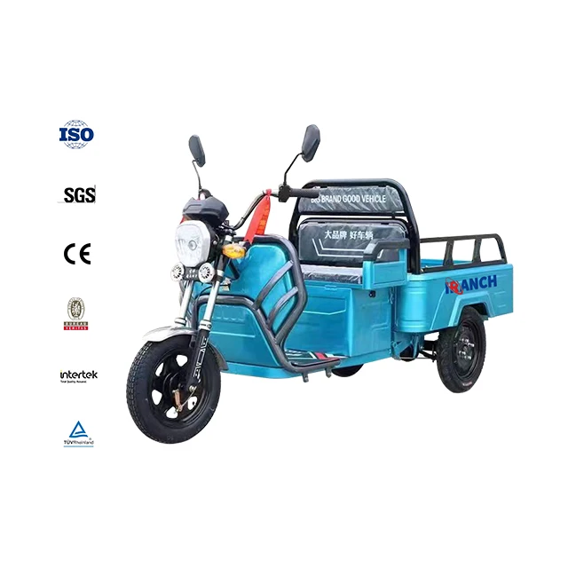 Moto Three Wheel Trike Motorized Electric Tricycle Adult In Stock