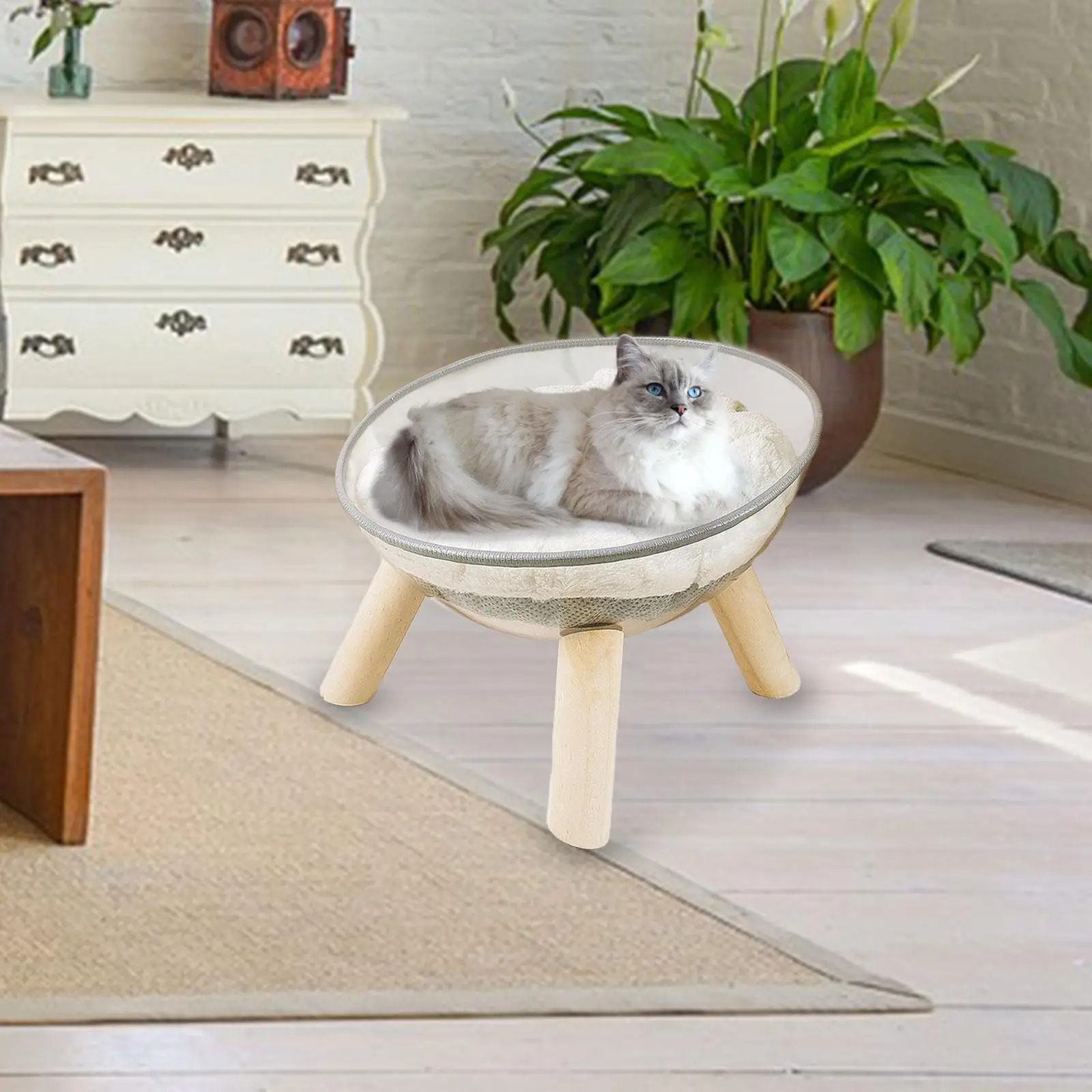 Space Clear Capsule Cat Bed Wood Elevated Transparent Cat Bed for Indoor Cats and Kittens Bunny and Small Animal Small Pets