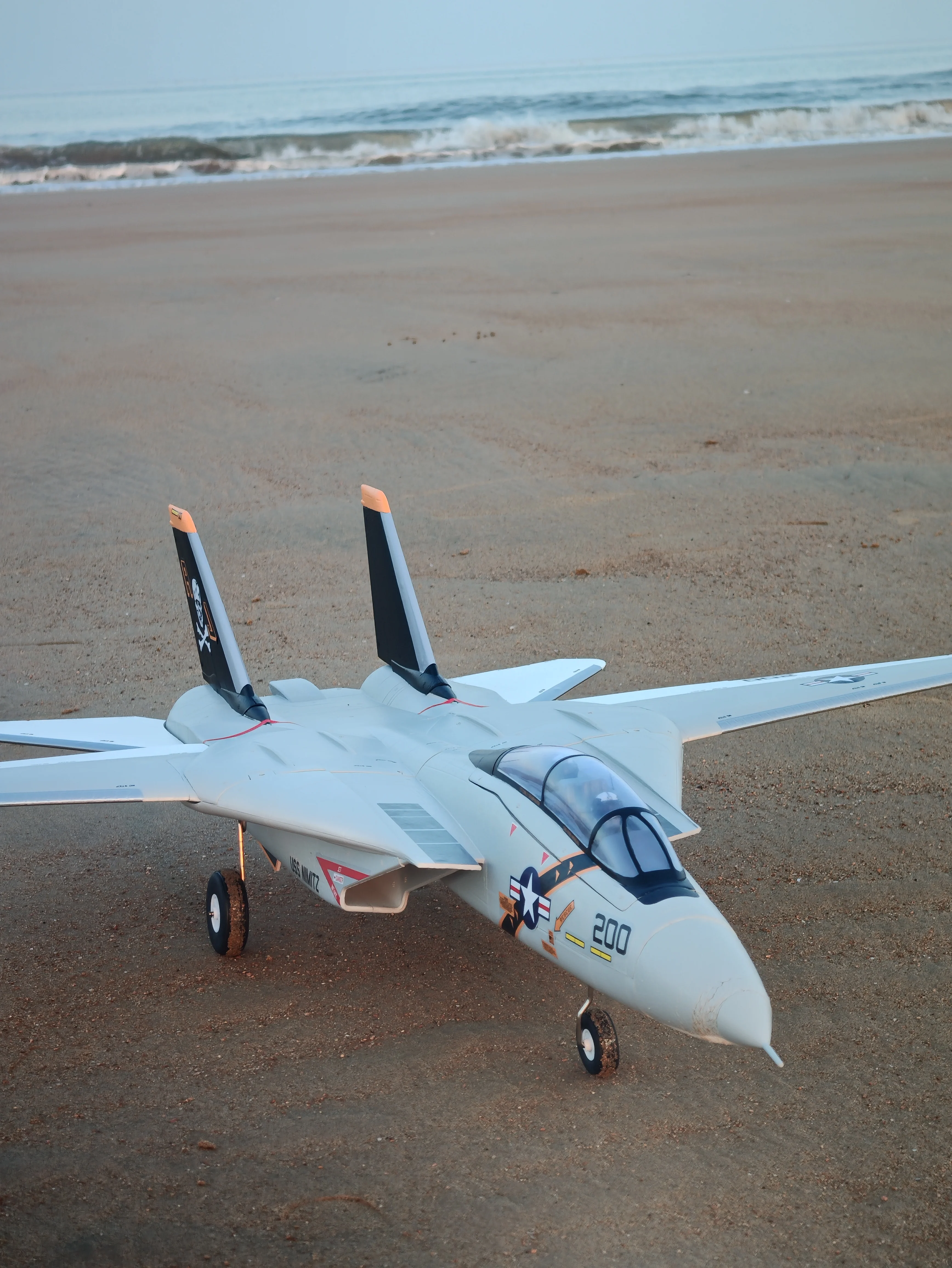 

Xfly Dual 40mm Engine F-14 "Tomcat" Twin Engine Ducted 970mm Wingspan Fighter Assembled Fixed Wing Electric Model Christmas Birt