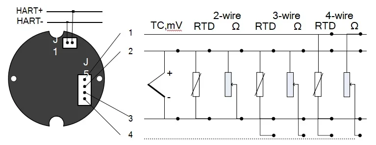 MS0213	FF Temperature Transmitter