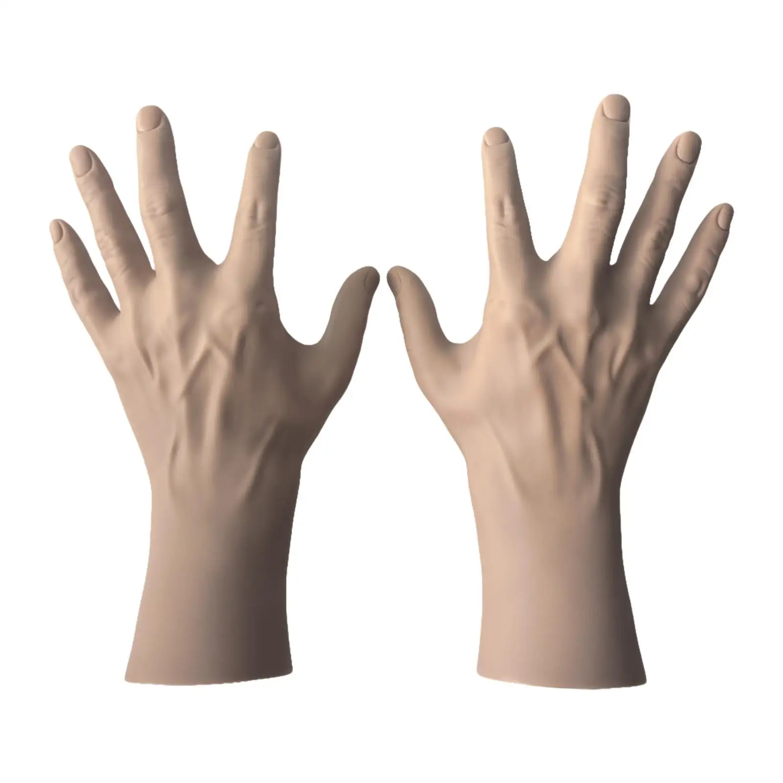 2Pcs Male Hand Model Left and Right Human Hand Mannequin Realistic Halloween