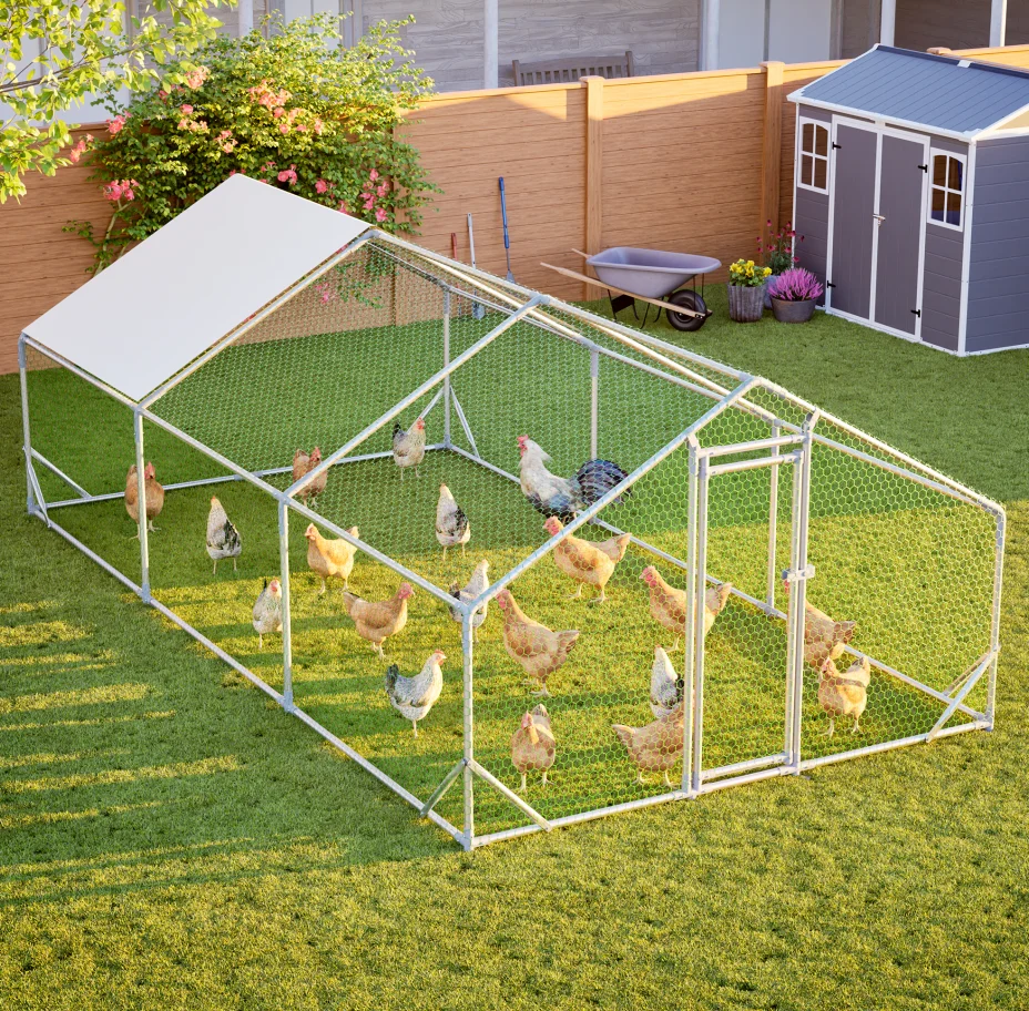 3*6m Outdoor Predator Proof Chicken Run Cage, Heavy Duty PVC Hex Wire Mesh Hen House with Lockable Door for Backyard Poultry Raising