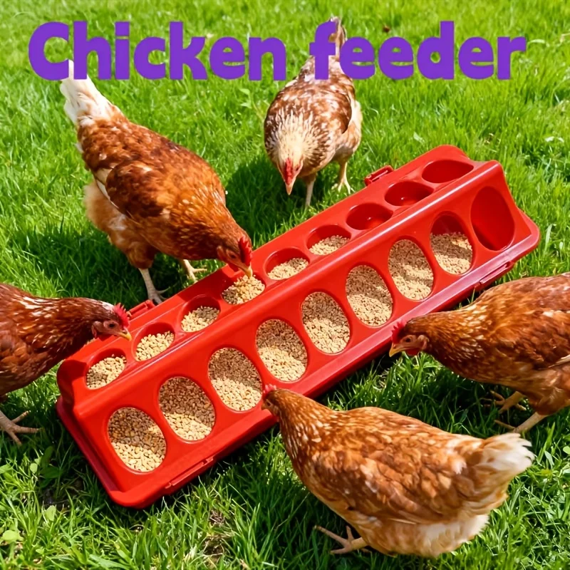 Comedero Multiagujeros para Pollitos, Comedero Anti-Desperdicio para Aves de Corral, para Gallinas, Codornices y Gallos, Accesorio Agrícola Duradero