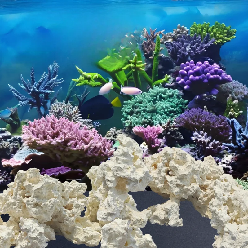 Kilago Natural Dry Rock Coral Aquarium Decoration Java Stone Fragment No Algae Bursting Live Stone Cultivation for Marine Fish