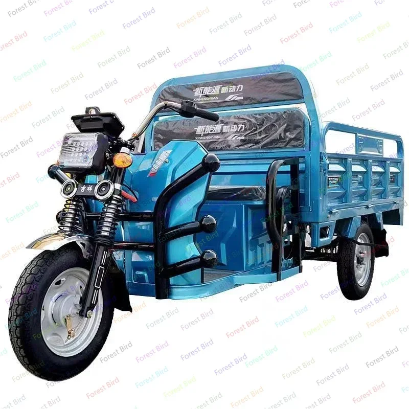 

Hot Sale 1000W Motorcycle Electric Tricycle