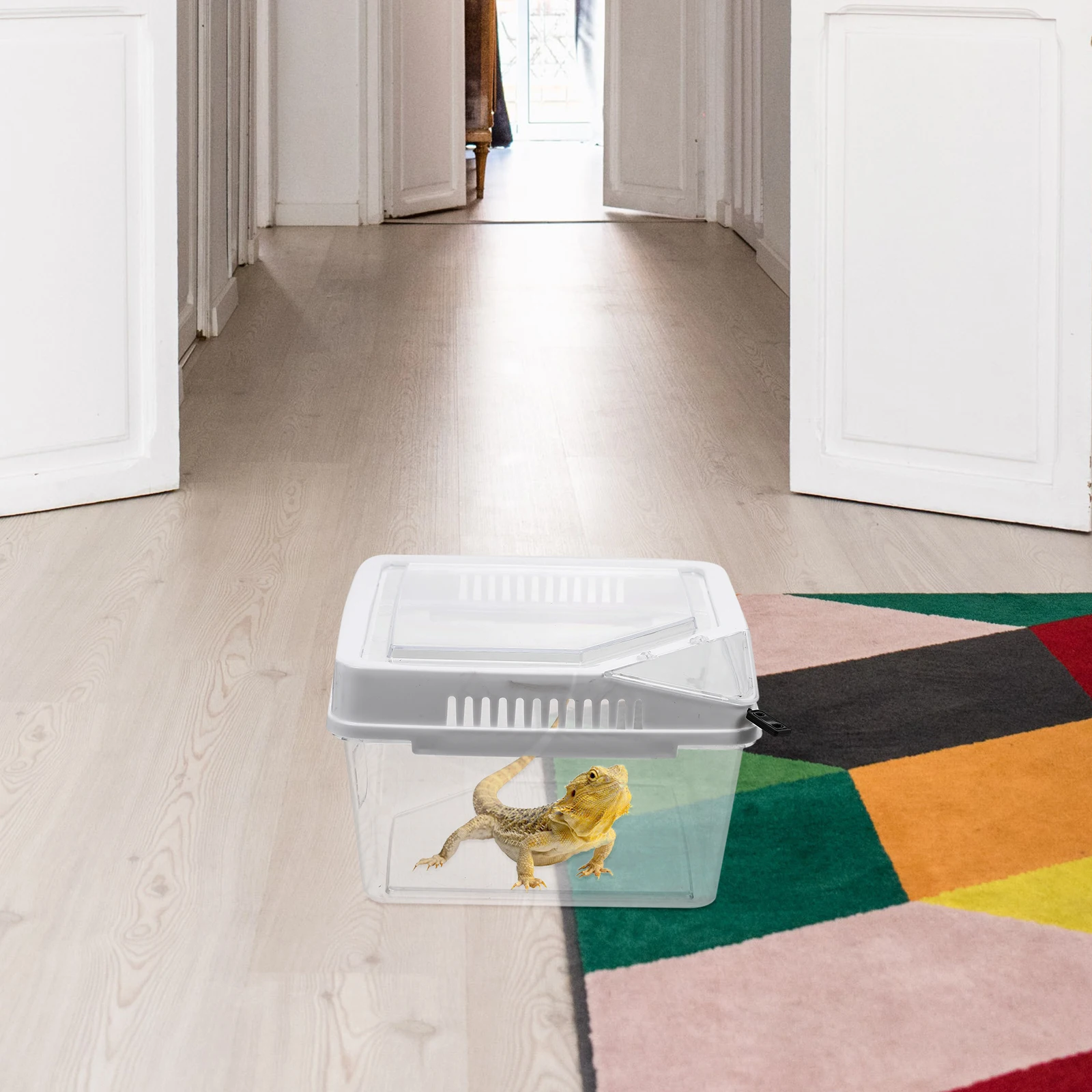 

Reptile Feeding Box Clear Reptile Case Lightweight Compact Easy Operate Convenient Feeding Superior Materials Practical Durable