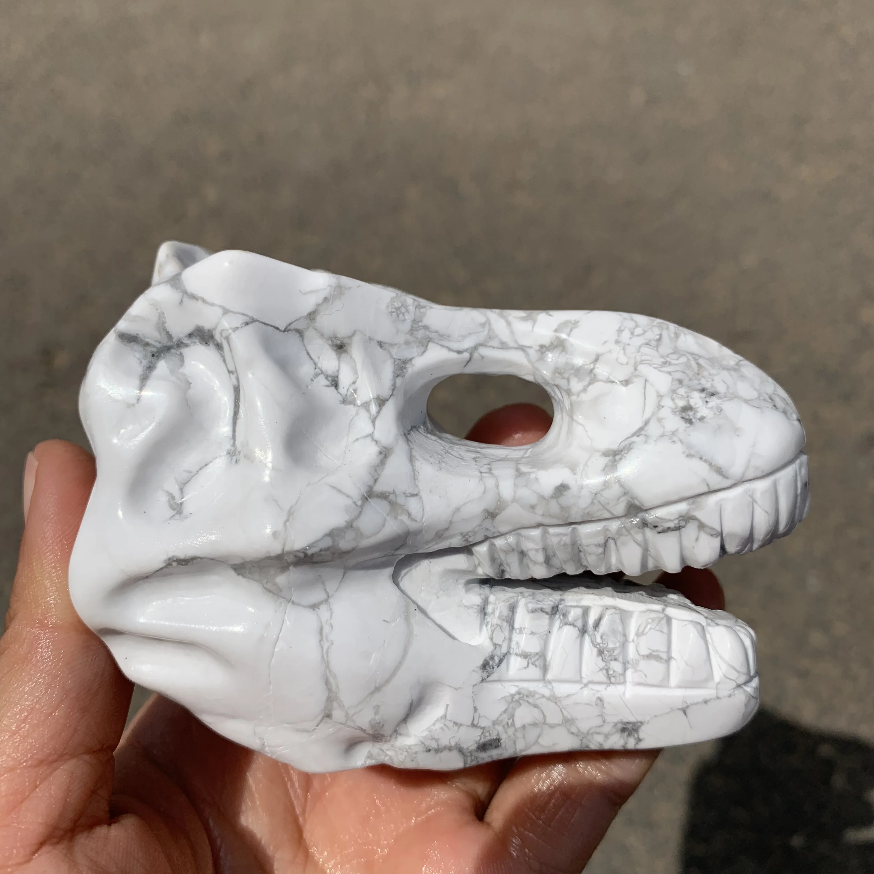 Natural White Howlite Dinosaur Skull Statue Yopperlite Dragon head Skull Figurine