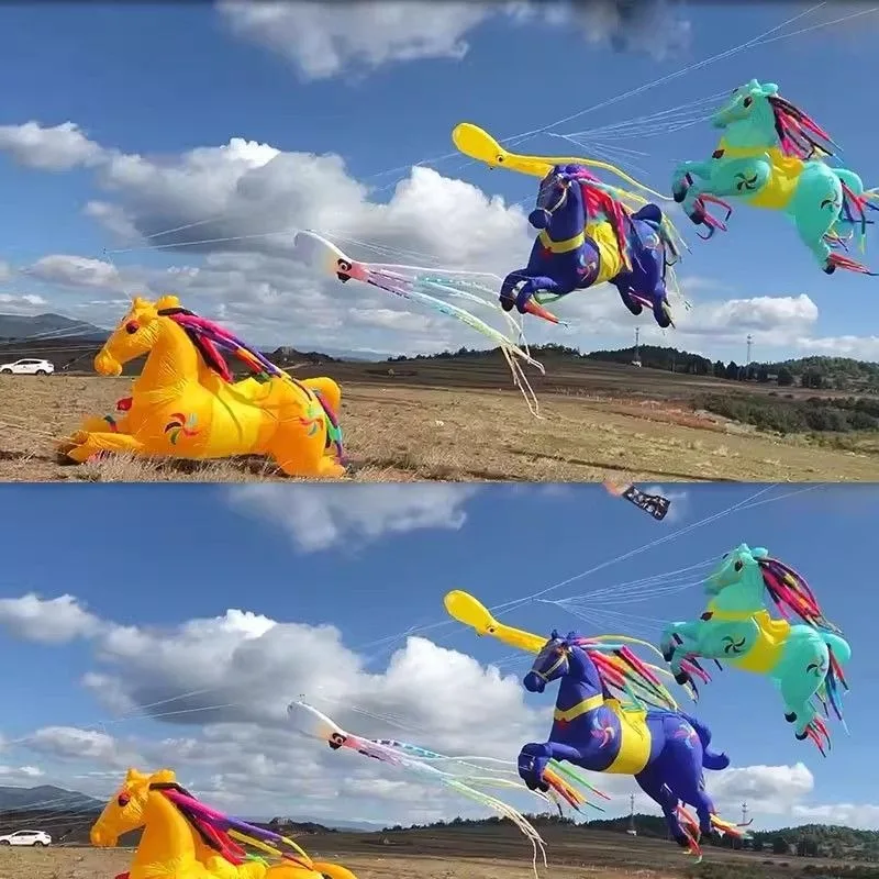 طائرة ورقية جديدة 40D مظلة نايلون قماش 5 أمتار طائرة ورقية بيغاسوس لا يمكن أن تتدفق بمفردك، قلادة