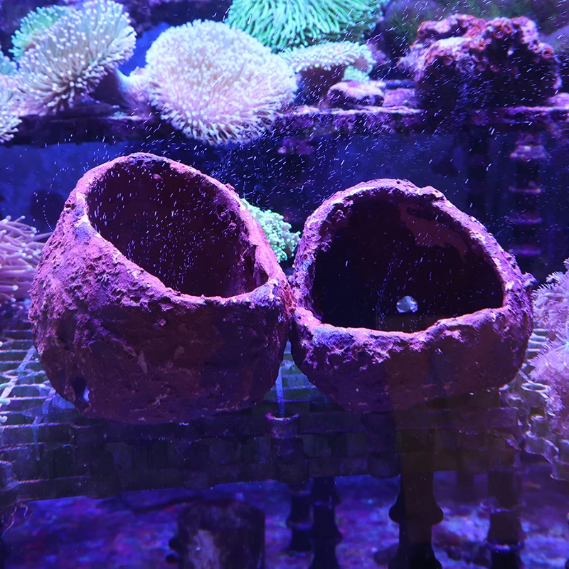 

Anemone Nest Prevent Running Away Clay and Live Rock Made for Aquarium Reef Tank Aquarium Plants