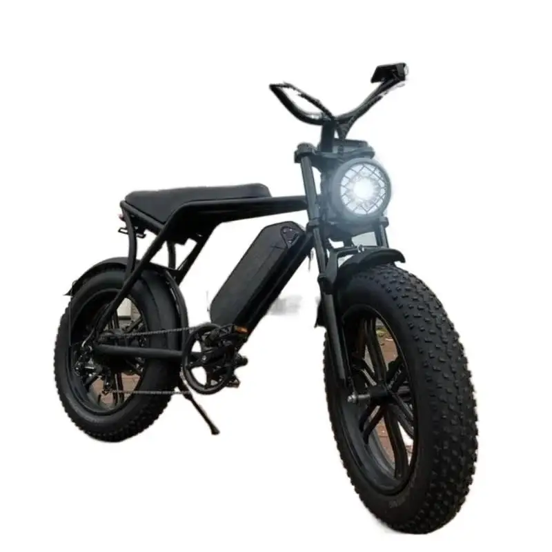 

V8 48V 1000W Motor Bike ebike 15Ah Lithium Battery Mountain Snow Ebike Fat Tire