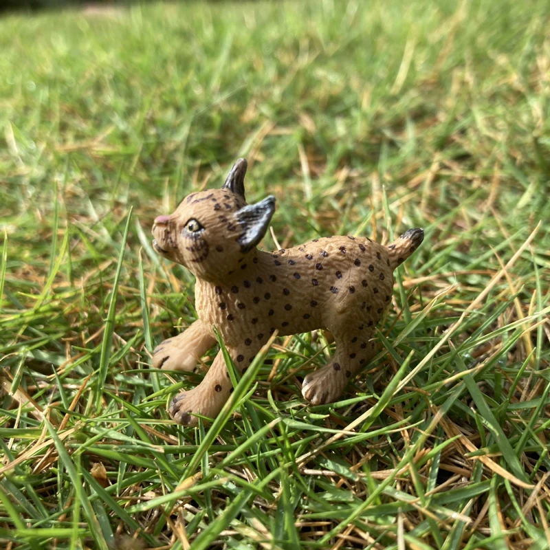 Realistic Animal Toy Model Mini Baby Eurasian lynx Resin Figure Figurine Home/Office Decor Collect Toy Kid Early Education